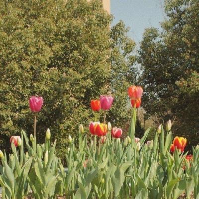 十一选五软件下载安装