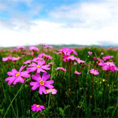 可下分电玩下载手机版